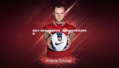 南宫28-加斯佩里尼盛赞吉鲁，高龄球员依旧引领足球风潮