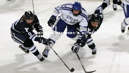 南宫28-临门一脚，球员关键时刻奋力一搏，临门一脚什么意思?