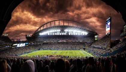 南宫28-里尔主场崩盘惨败，昔日冠军荣光蒙尘