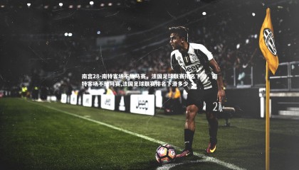 南宫28-南特客场不敌马赛，法国足球联赛排名下滑，南特客场不敌马赛,法国足球联赛排名下滑多少