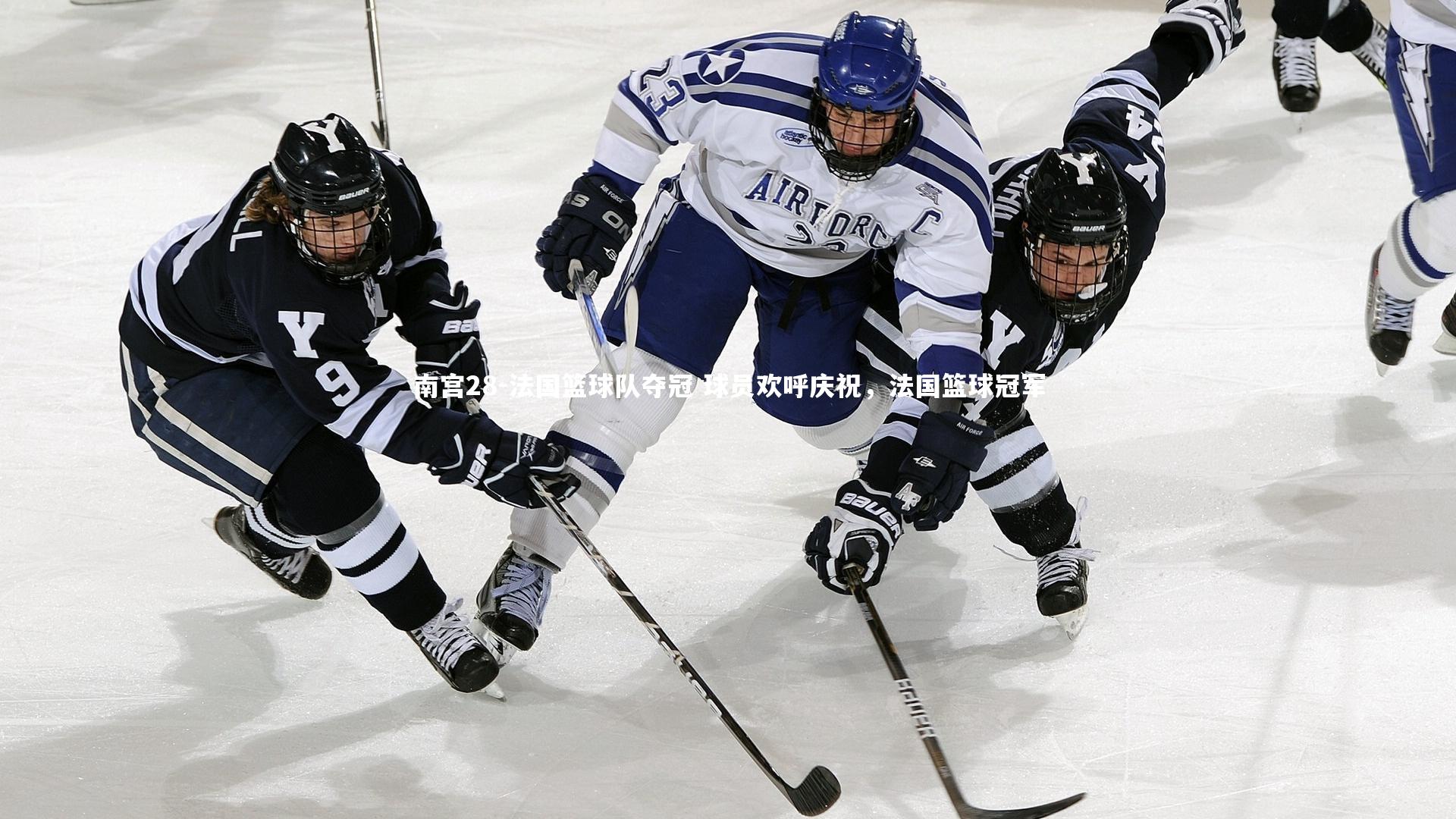 法国篮球队夺冠 球员欢呼庆祝，法国篮球冠军