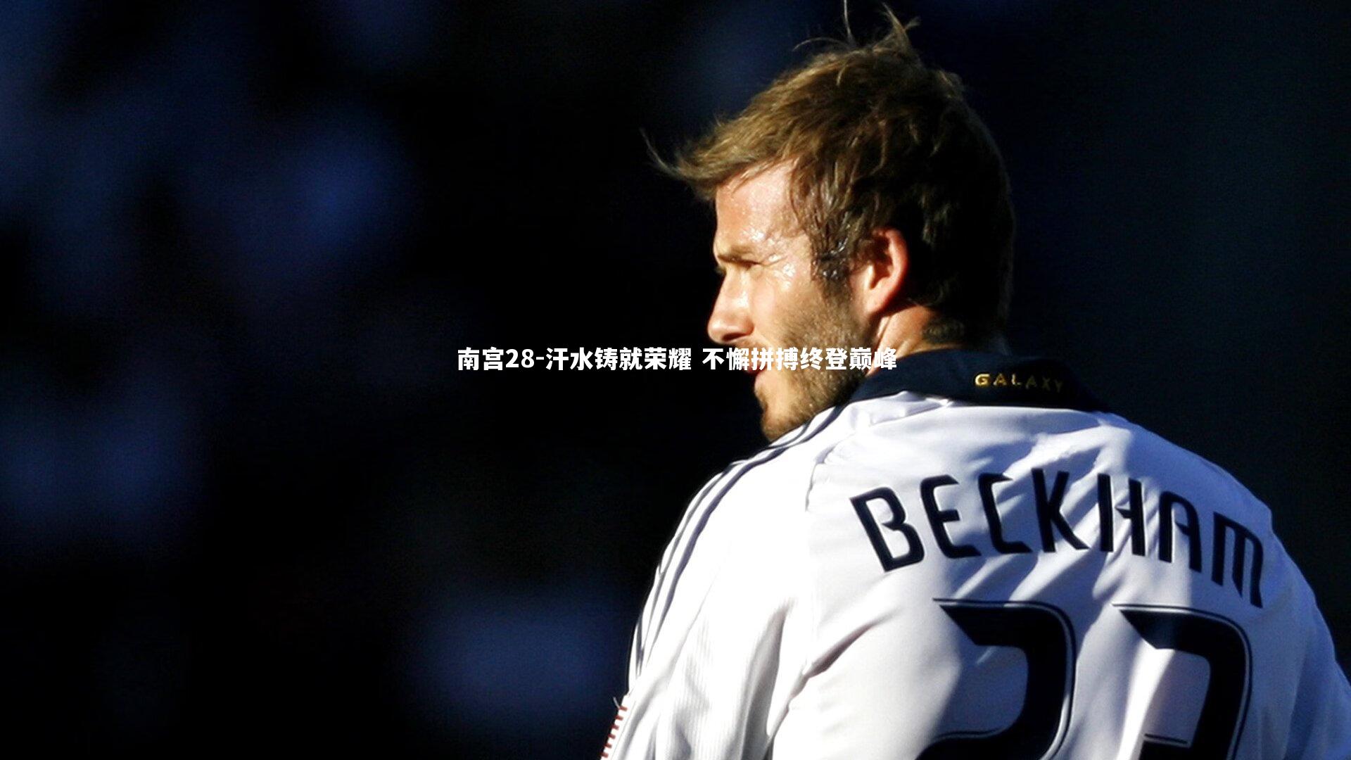 汗水铸就荣耀 不懈拼搏终登巅峰